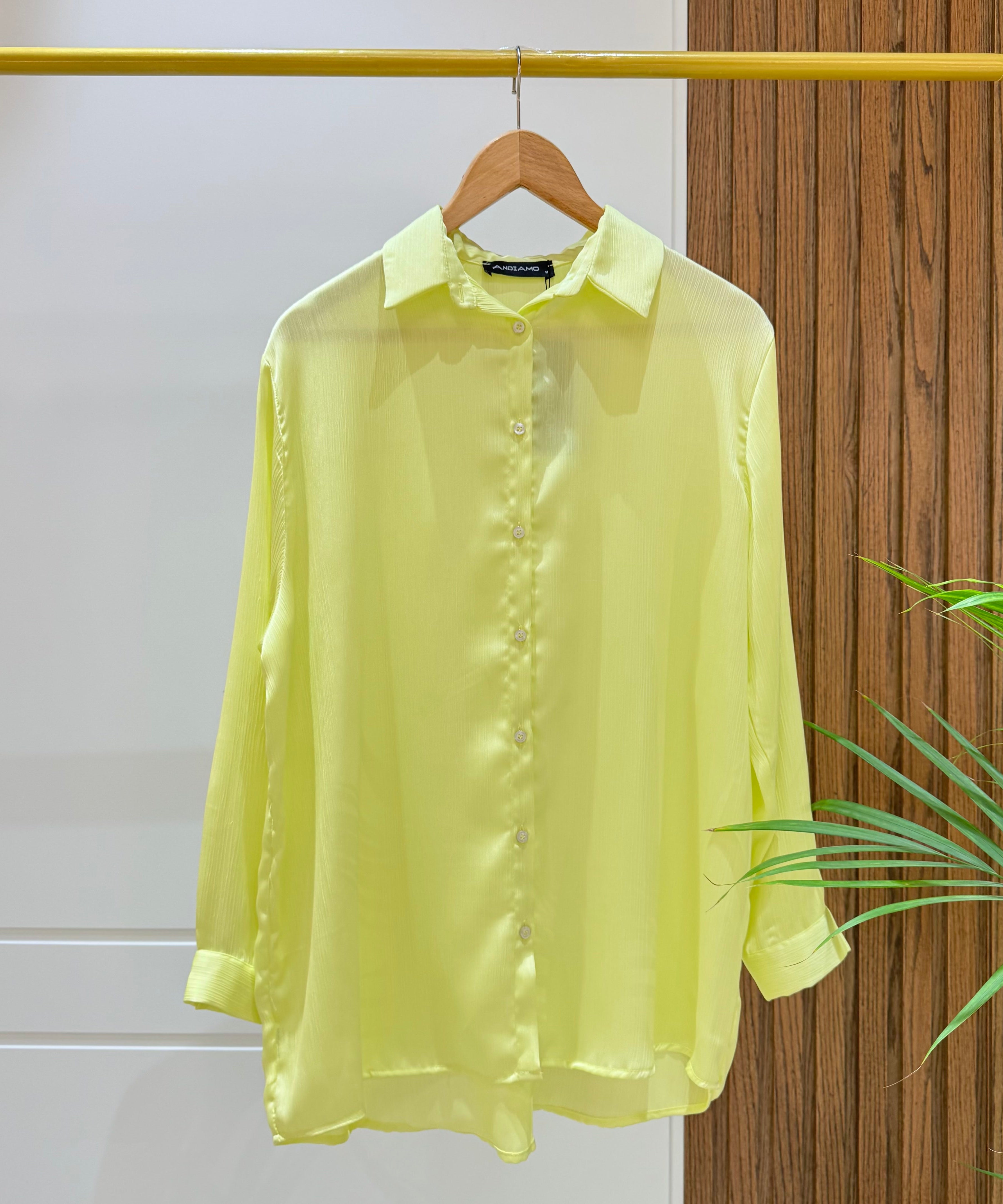 silk Shirt