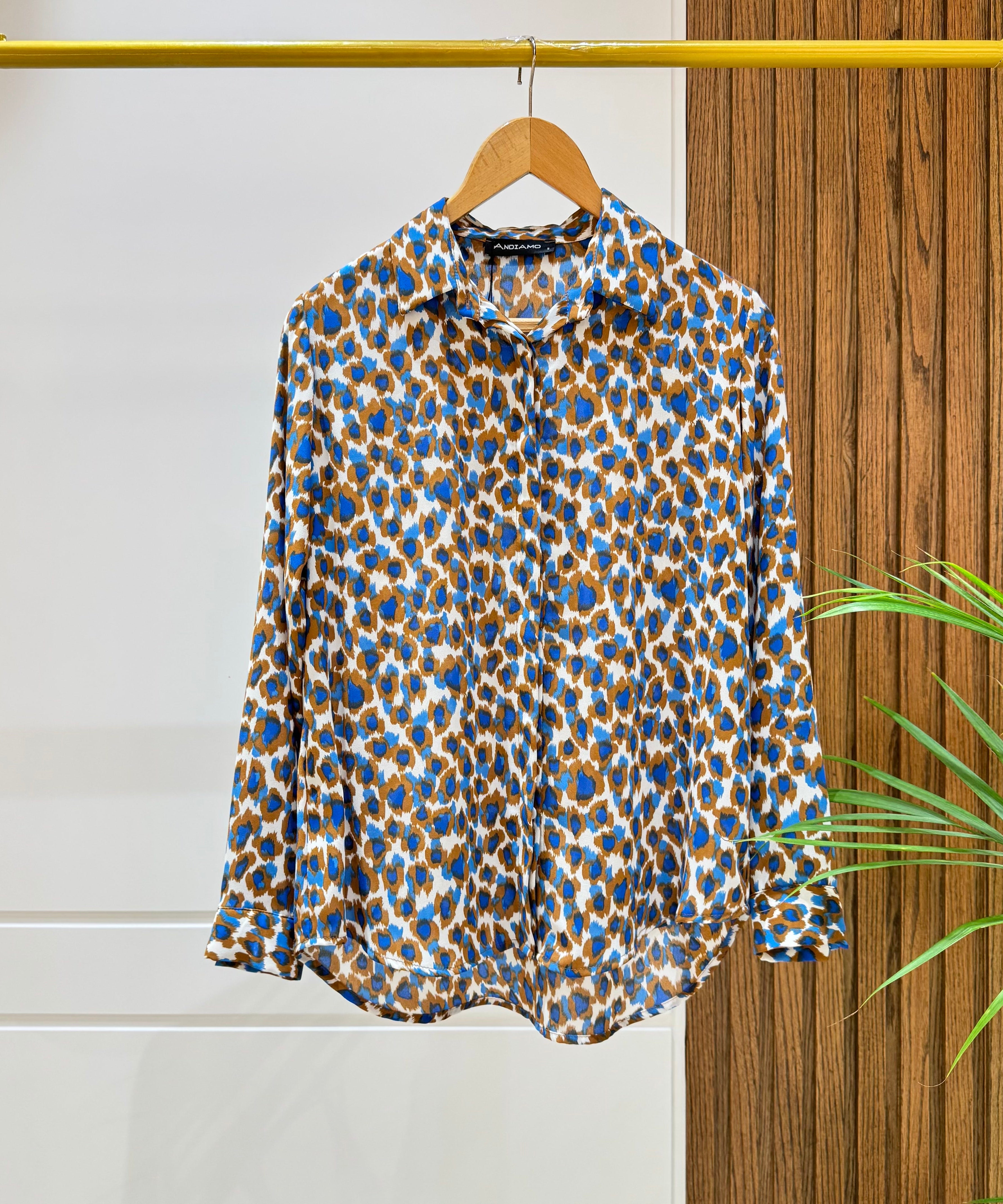chiffon Shirt